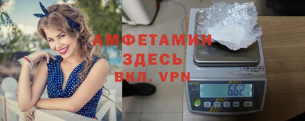 сатива Богданович