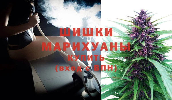 сатива Богданович