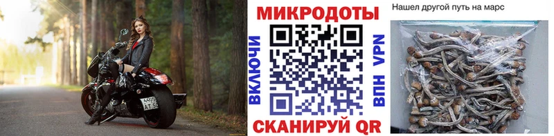 Псилоцибиновые грибы Cubensis  сколько стоит  mega сайт  Козельск 